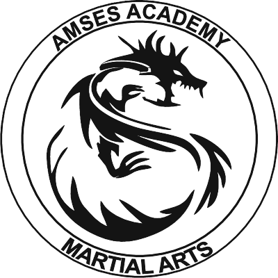 Logo AMSES Academy Martial Arts